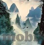 世界杯带了多少小龙虾-世界杯与小龙虾，一场全球盛宴的味蕾碰撞